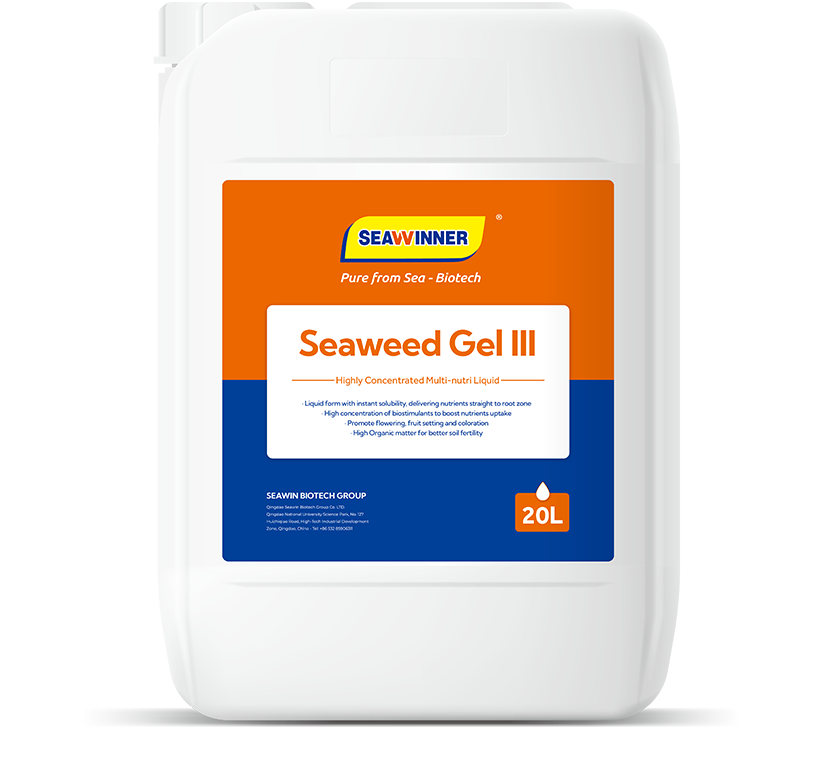 Seaweed Gel III