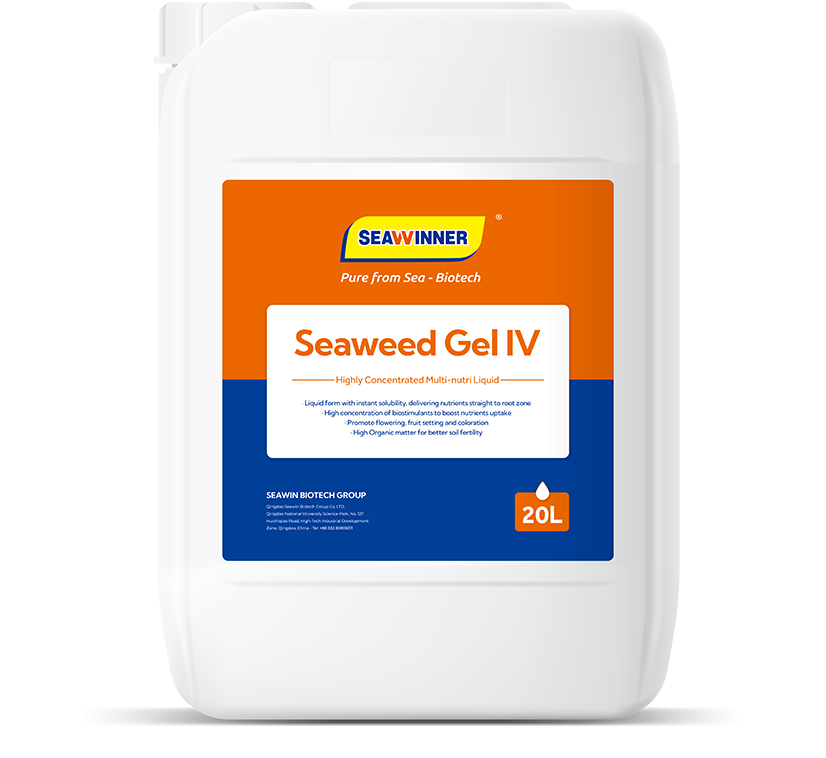 Seaweed Gel IV