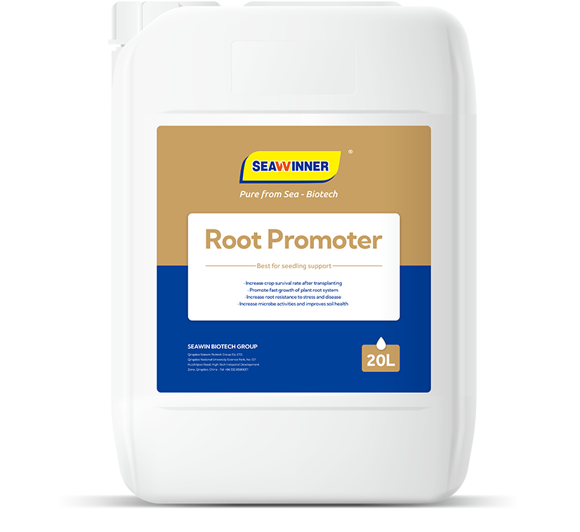 Root Promoter