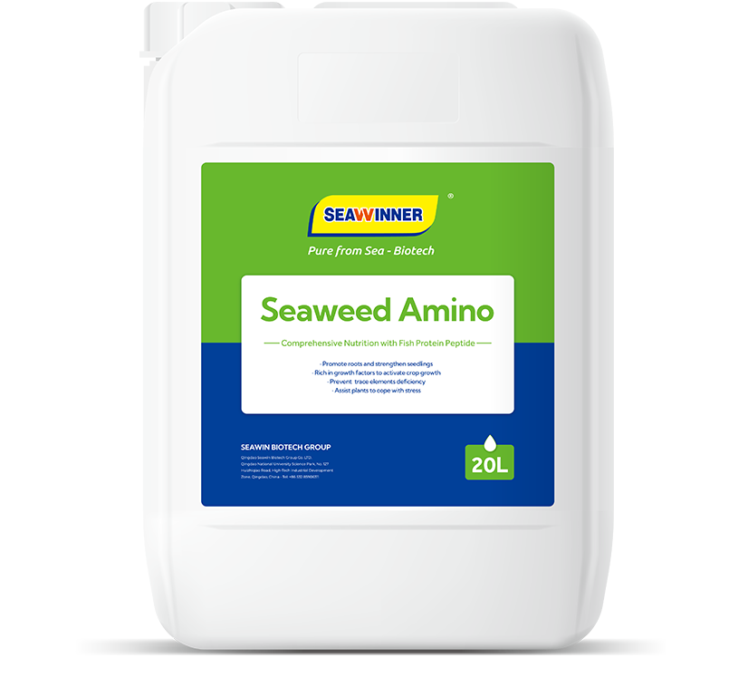 Seaweed Amino