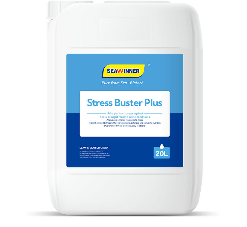 Stress Buster Plus
