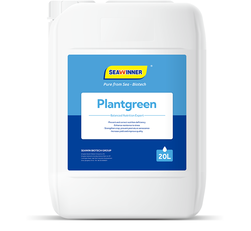 PlantGreen